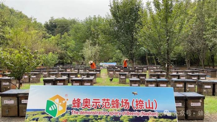 1727508266638576.jpg 640 (10).jpg