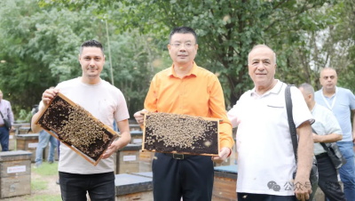 1727508469211298.jpg 640 (25).jpg