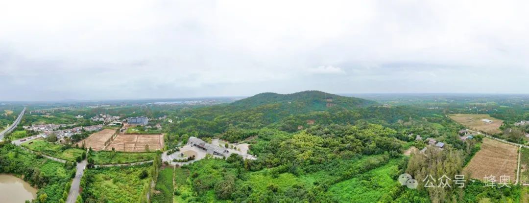 1731917852189609.jpg 640 (1).jpg