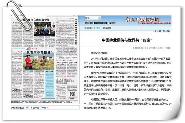 《農(nóng)民日報》：中國蜂業(yè)期待與世界共“甜蜜”